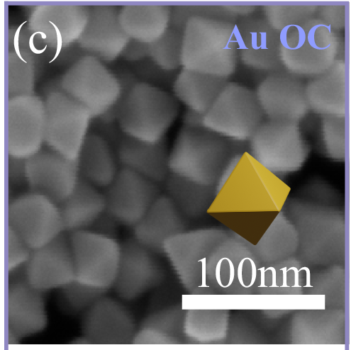 Kang et al. Figure 1c: gold octahedra, with 100 nanometre scale bar.